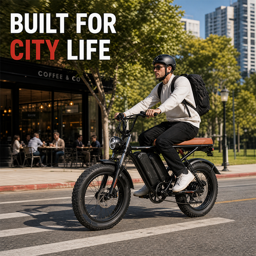 Shock Absorbing Front Suspension Brushless Lithium Battery Fat Tire Ebike 7 Speed Electric Bicycle for Beach Park