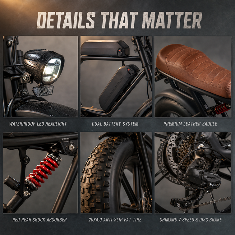 Shock Absorbing Front Suspension Brushless Lithium Battery Fat Tire Ebike 7 Speed Electric Bicycle for Beach Park
